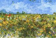 Green Vineyard Vincent Van Gogh